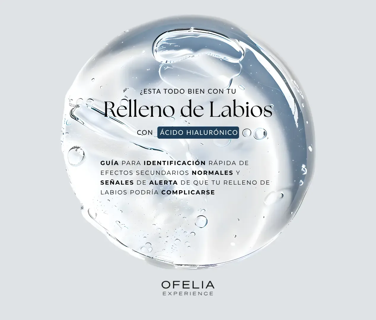 Descripción de la imagen 1