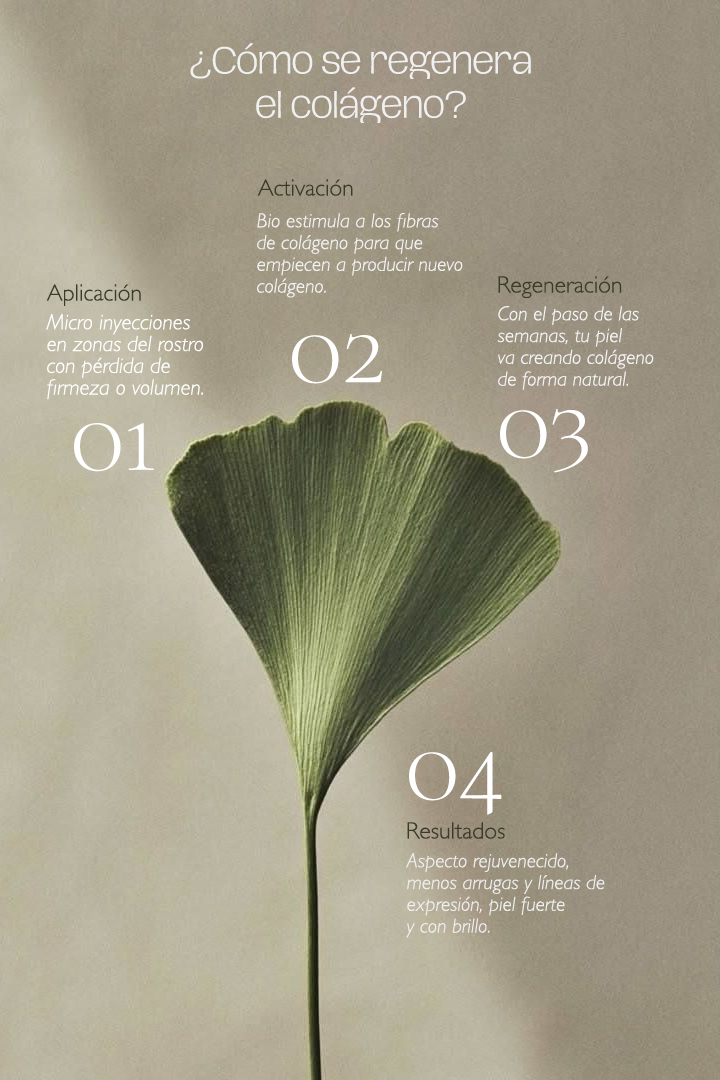 Los pasos que sigue Sculptra para la regeneración de colágeno en tu piel.