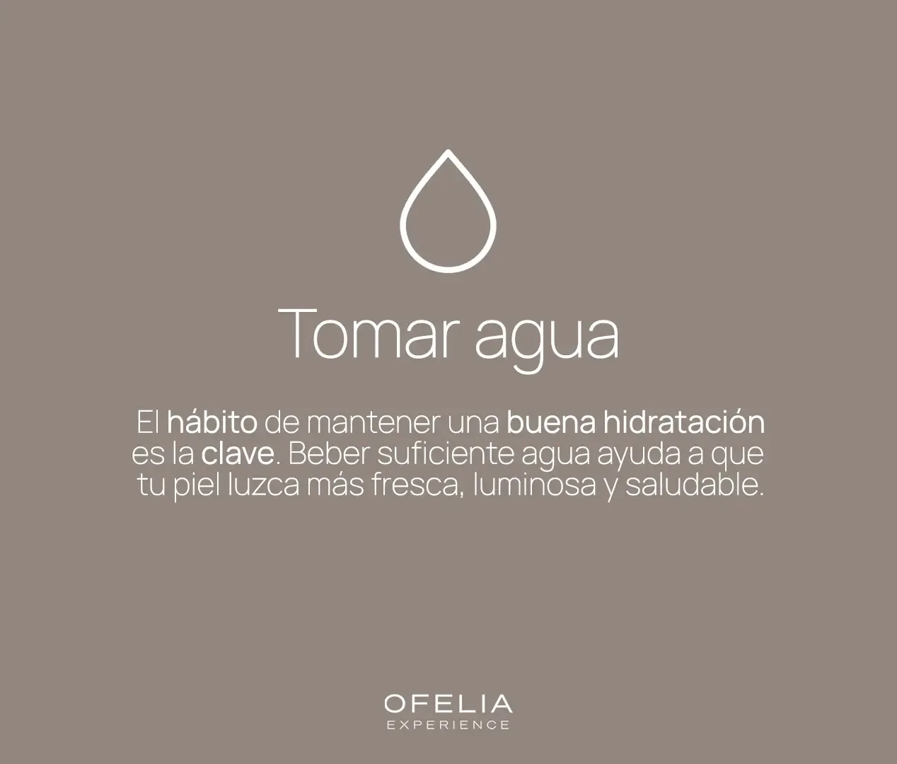 Descripción de la imagen 1