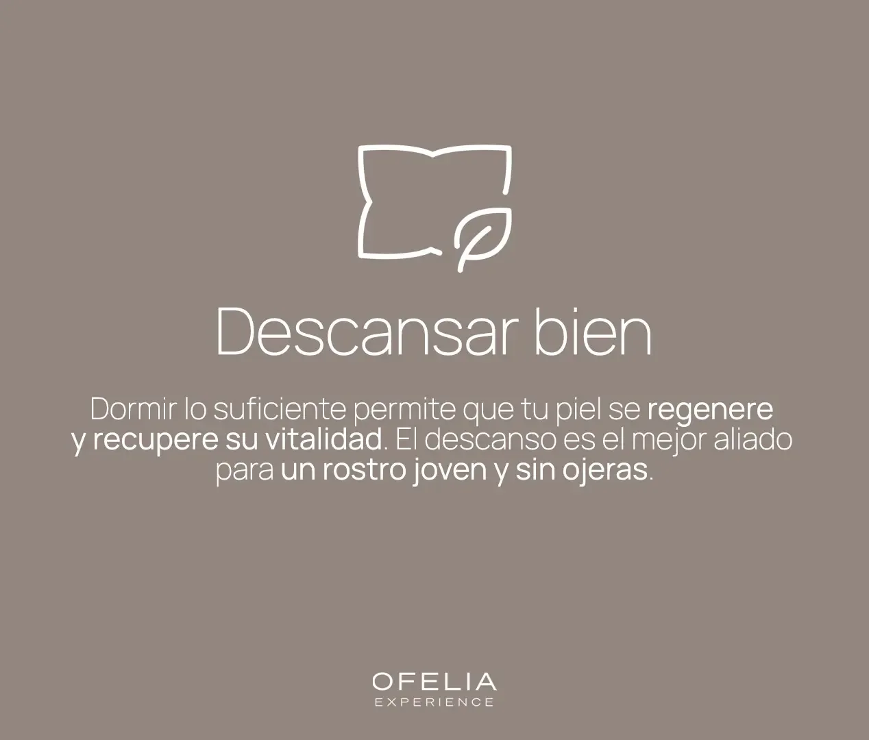 Descripción de la imagen 1