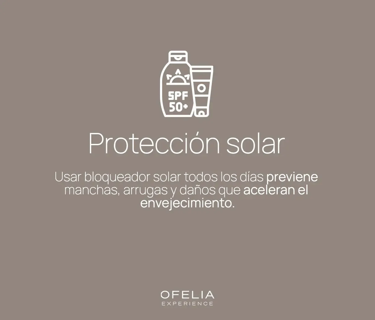 Descripción de la imagen 1