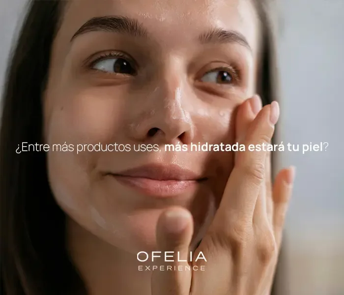 Descripción de la imagen 1