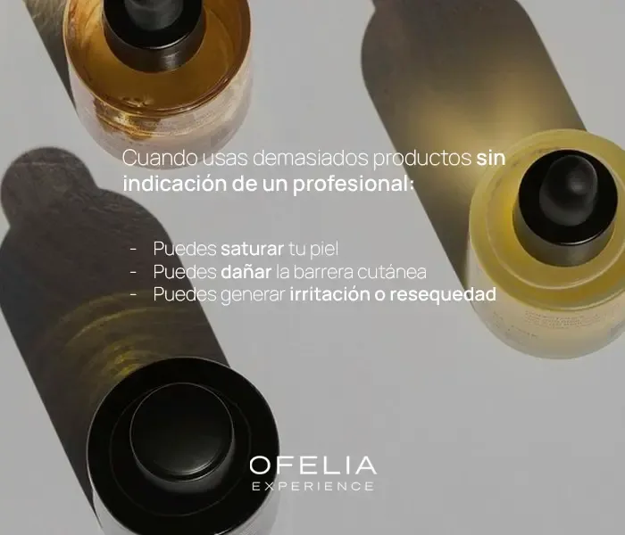 Descripción de la imagen 1