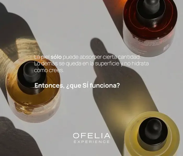 Descripción de la imagen 1