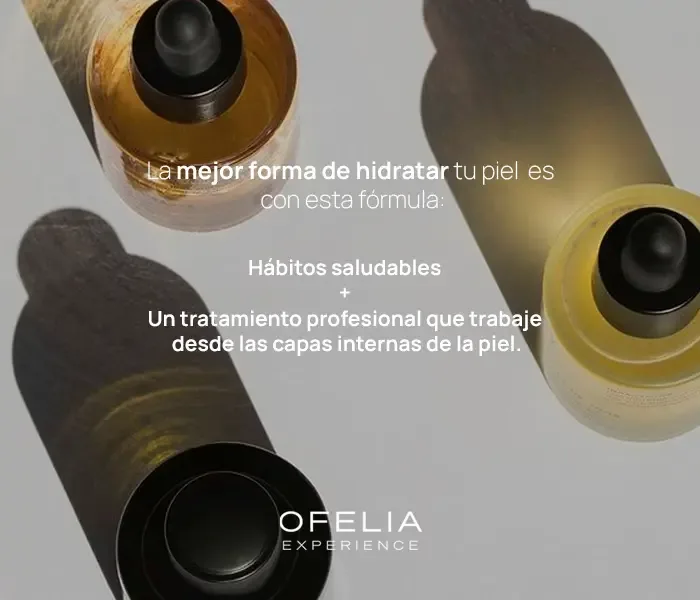 Descripción de la imagen 1