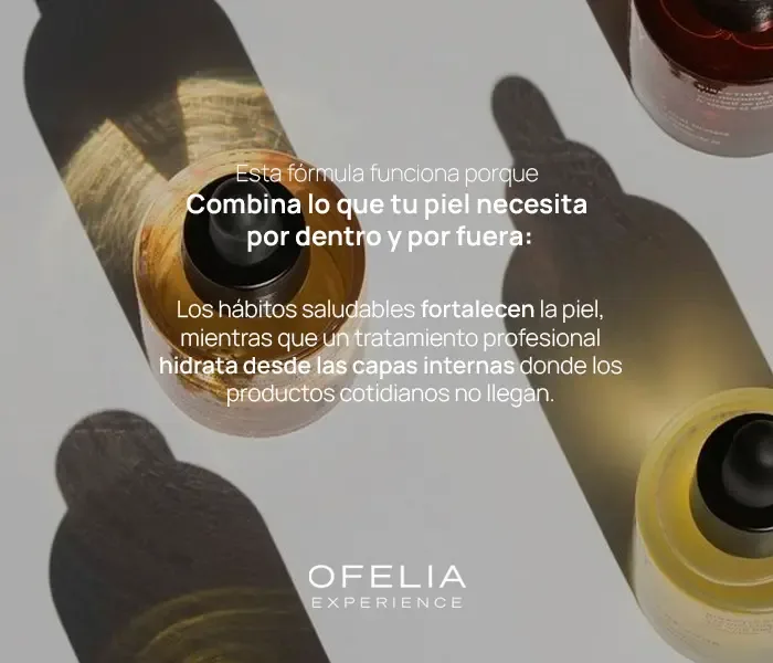 Descripción de la imagen 1