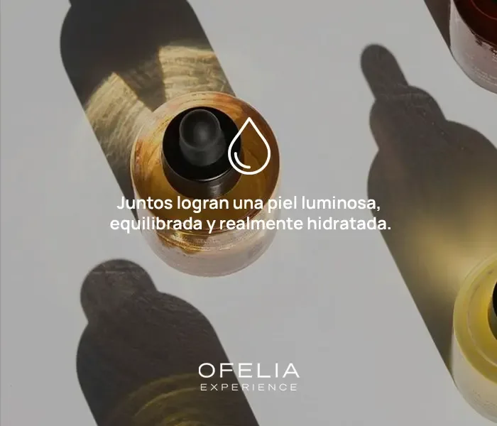 Descripción de la imagen 1